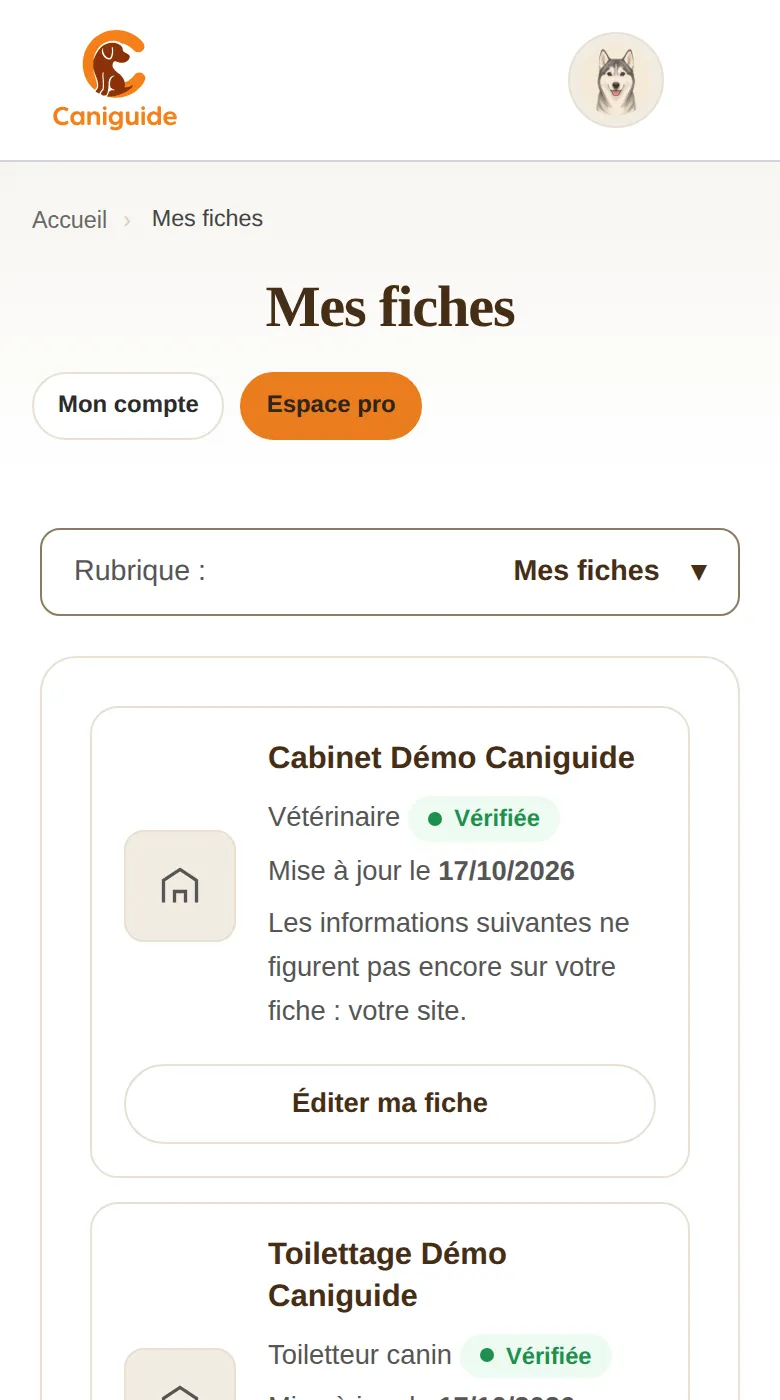 Capture de l’Espace pro : Mes fiches