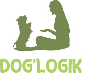 Dog'Logik